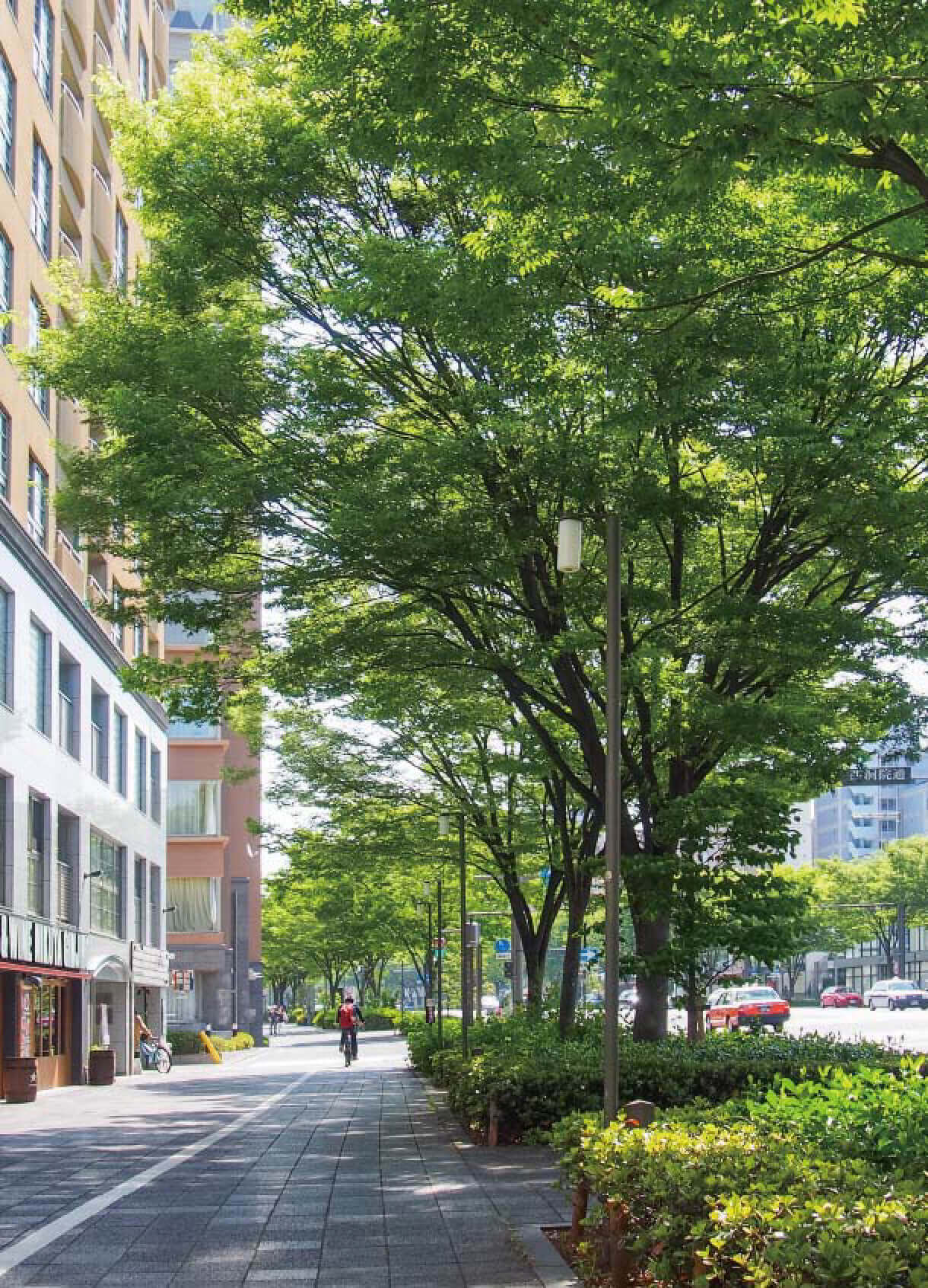 GREEN + INFRASTRUCTURE