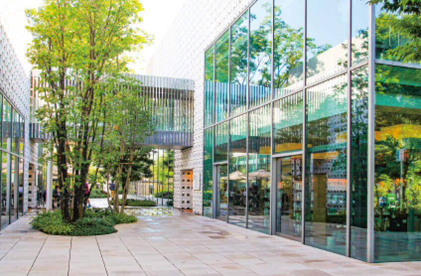 グリーンインフラ例（イメージ）